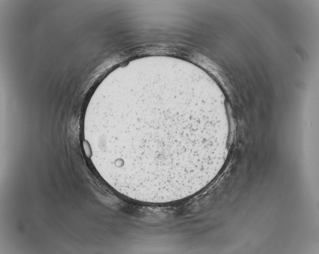 X0000112040297200909141123