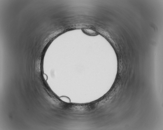 X0000112040299200909141123