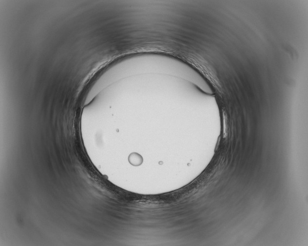 X0000112040300200909141123