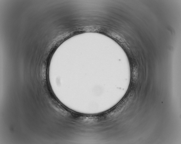 X0000112040303200909141123