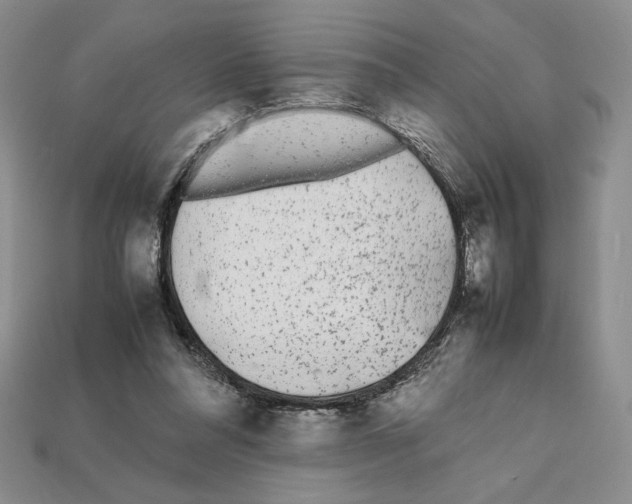 X0000112040304200909141123
