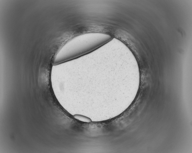 X0000112040305200909141123