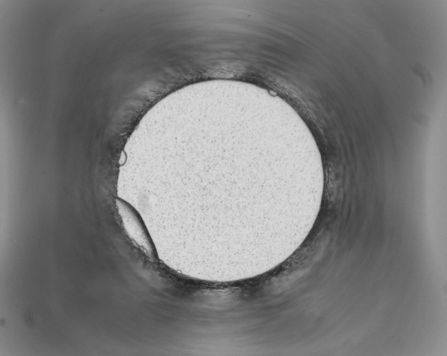 X0000112040307200909141122