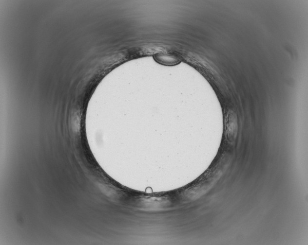 X0000112040315200909141122