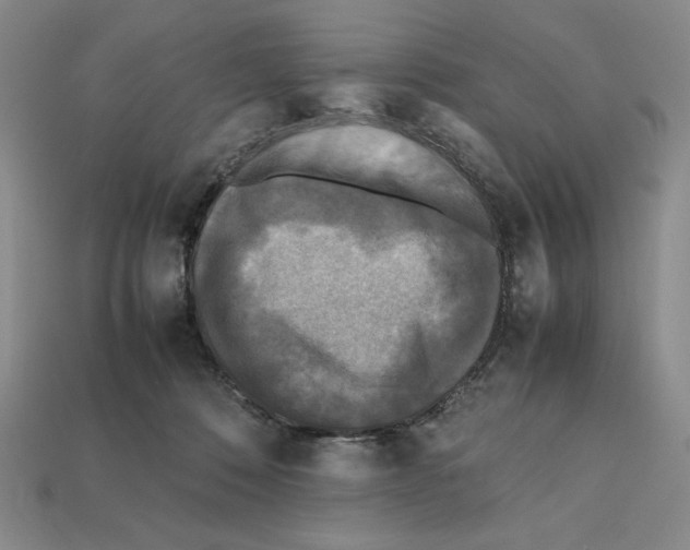 X0000112040320200909141122