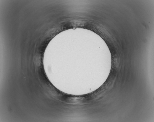 X0000112040323200909141122
