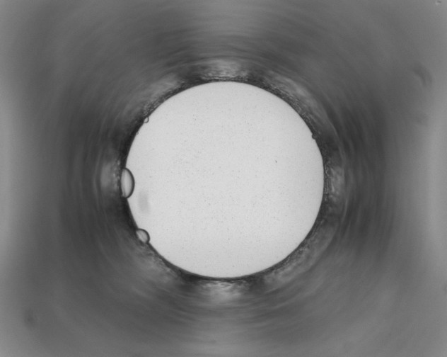 X0000112040326200909141122
