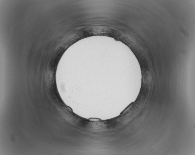 X0000112040327200909141122