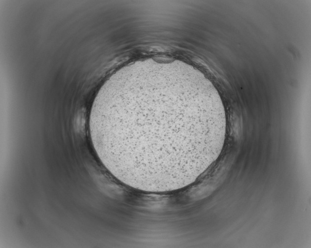 X0000112040328200909141122