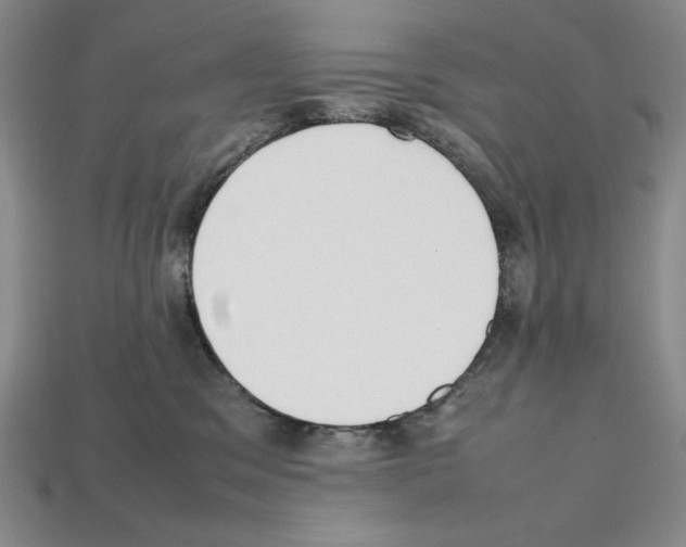 X0000112040329200909141122