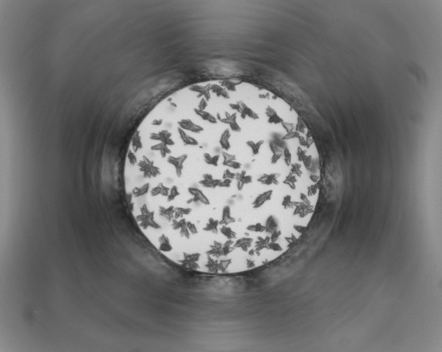X0000112040330200909141122