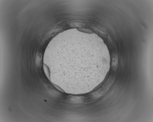 X0000112040332200909141122