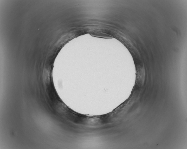 X0000112040333200909141122