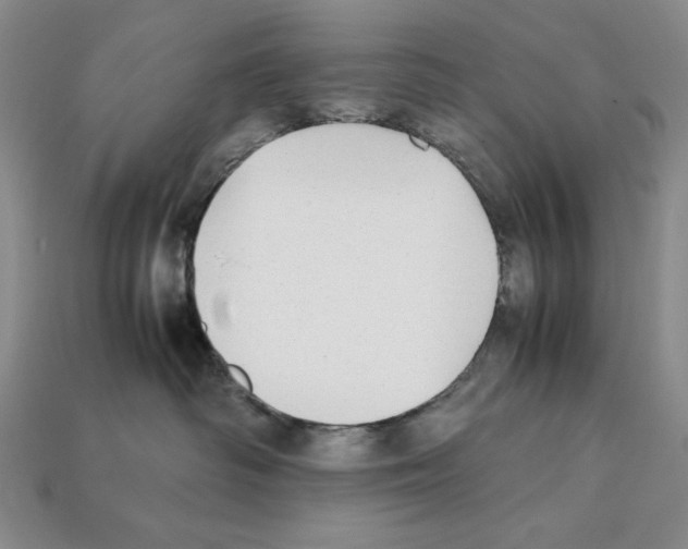 X0000112040334200909141122