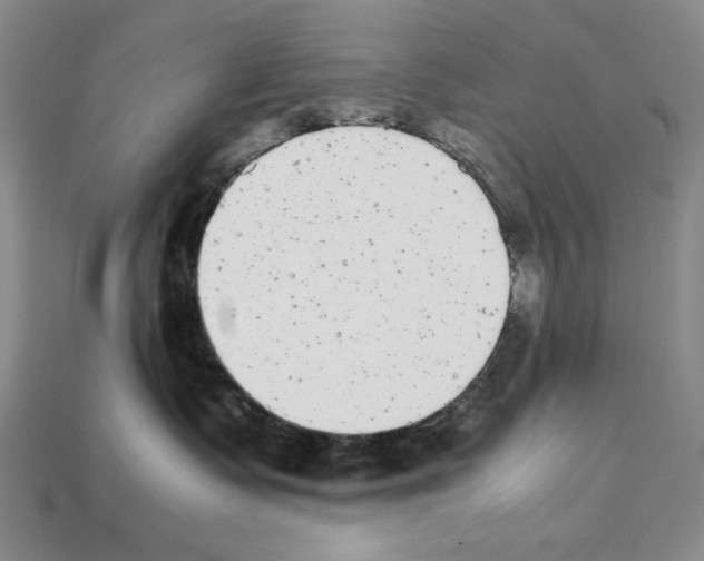 X0000112040335200909141122