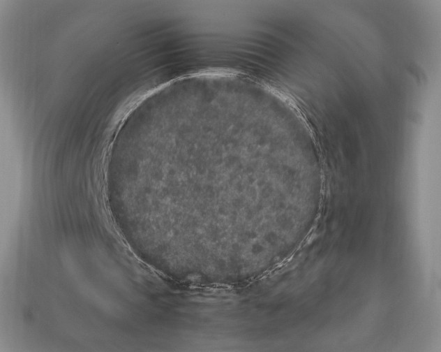 X0000112040337200909141121