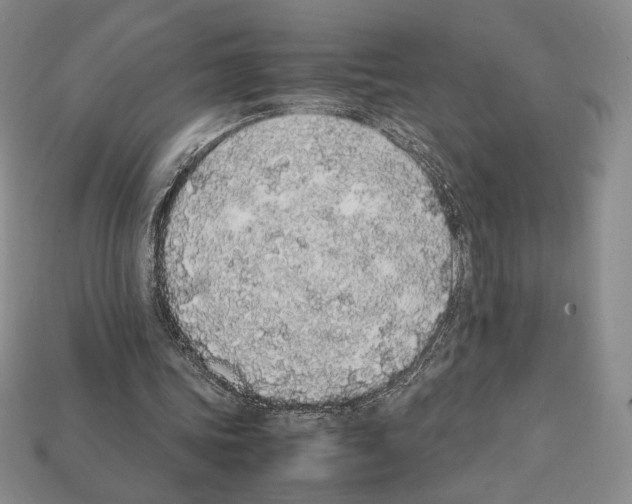 X0000112040339200909141121
