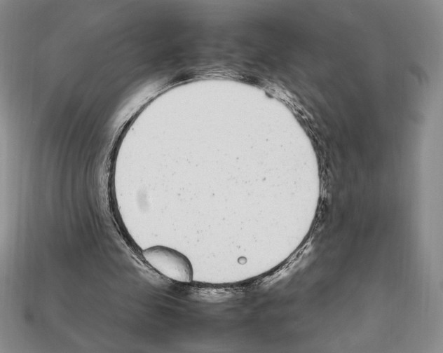 X0000112040341200909141121