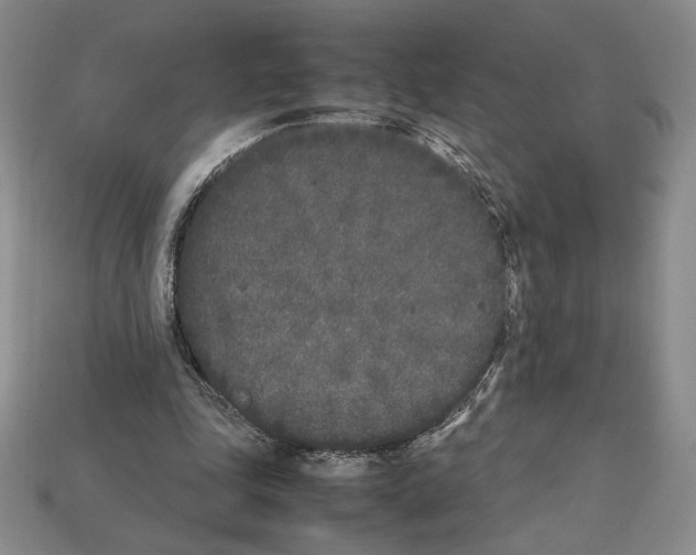 X0000112040343200909141121