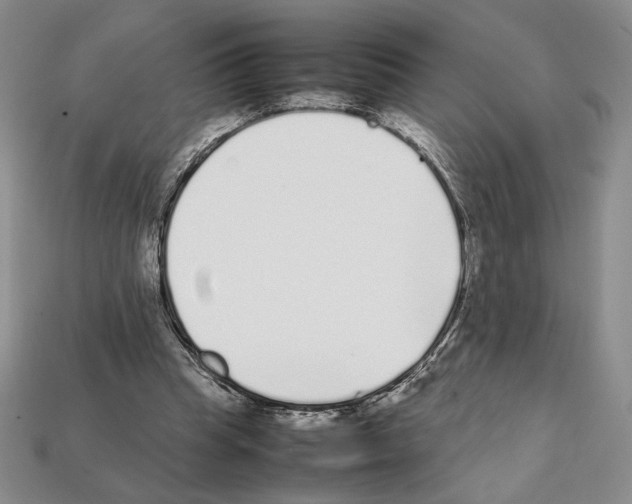 X0000112040345200909141121