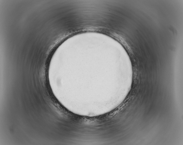 X0000112040346200909141121