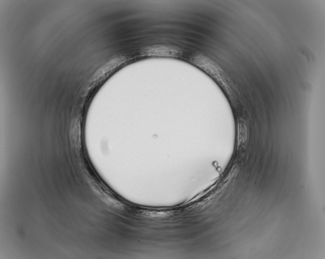 X0000112040349200909141121