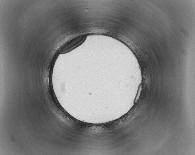 X0000112040350200909141121