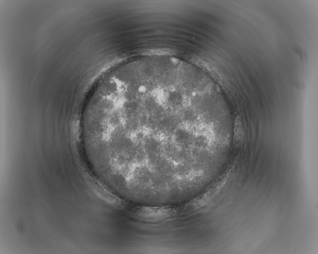 X0000112040351200909141122