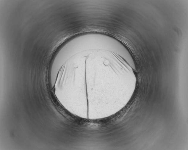 X0000112040352200909141122
