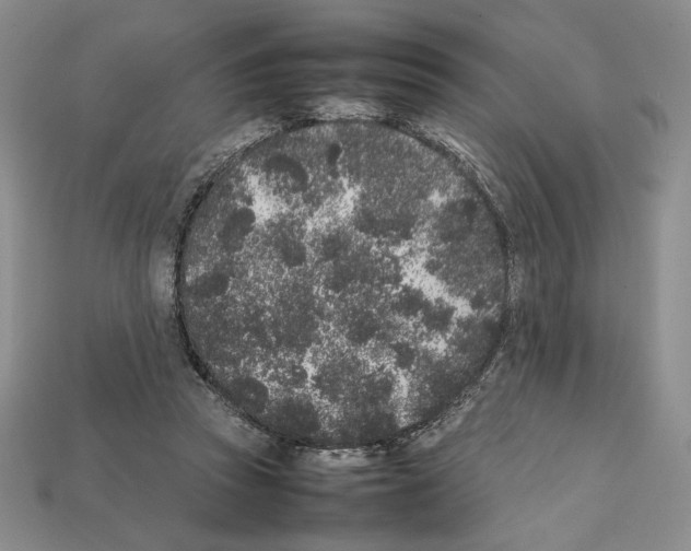 X0000112040353200909141122