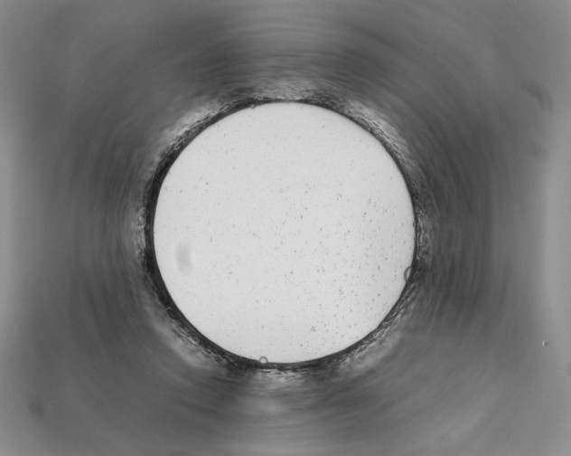 X0000112040354200909141122