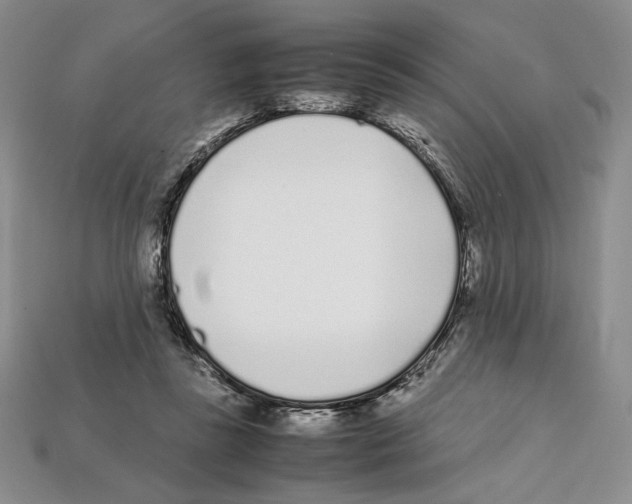 X0000112040355200909141122