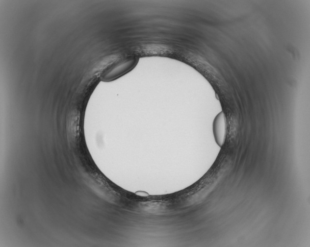 X0000112040356200909141122