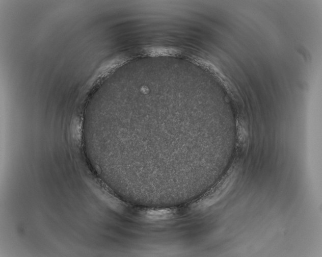 X0000112040357200909141122
