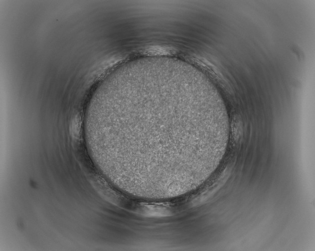 X0000112040359200909141122