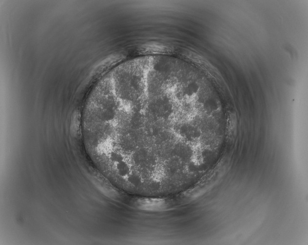 X0000112040361200909141122