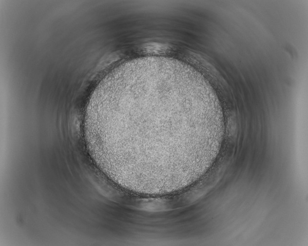 X0000112040363200909141122
