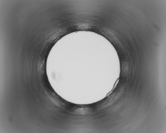 X0000112040364200909141122
