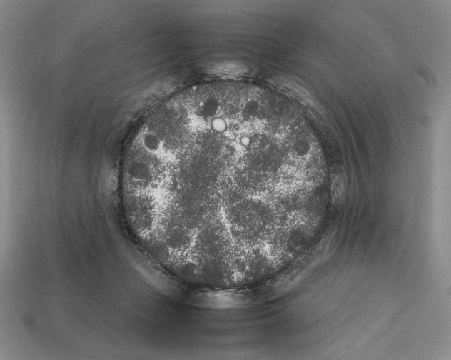 X0000112040365200909141122