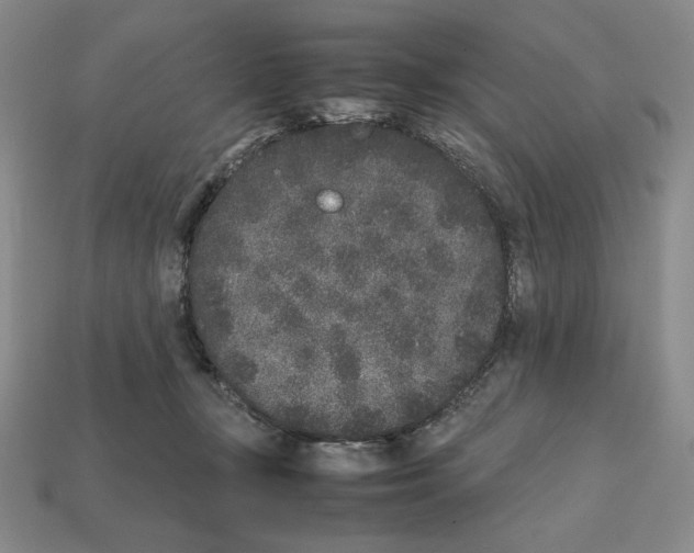 X0000112040367200909141122