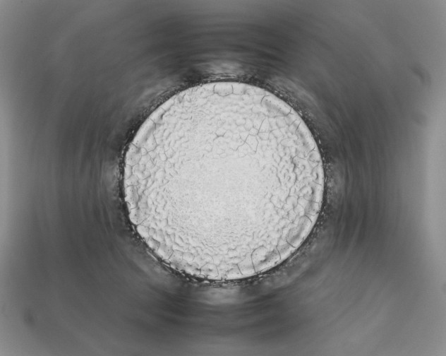 X0000112040369200909141122