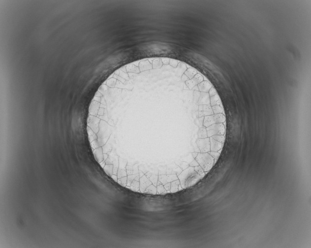 X0000112040373200909141122