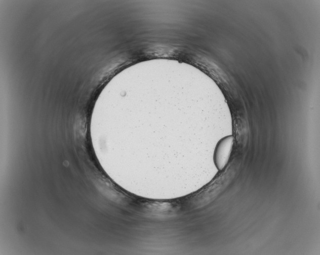 X0000112040374200909141122