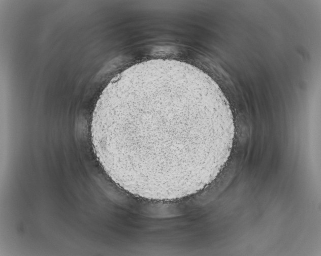 X0000112040375200909141122