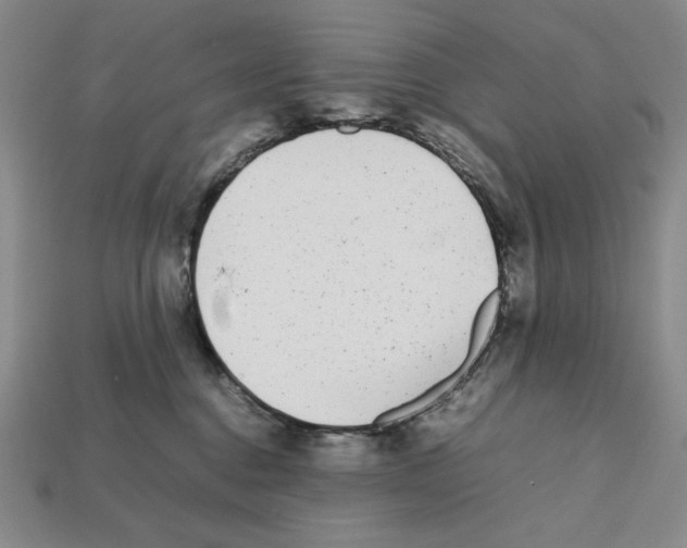 X0000112040376200909141122