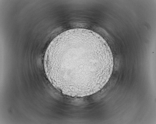 X0000112040377200909141122