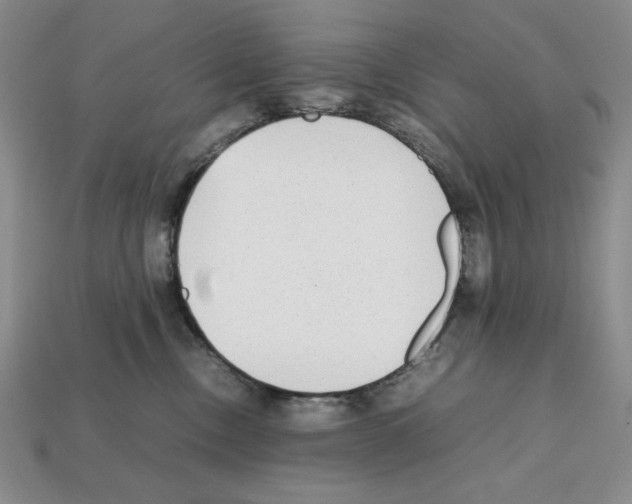 X0000112040378200909141122