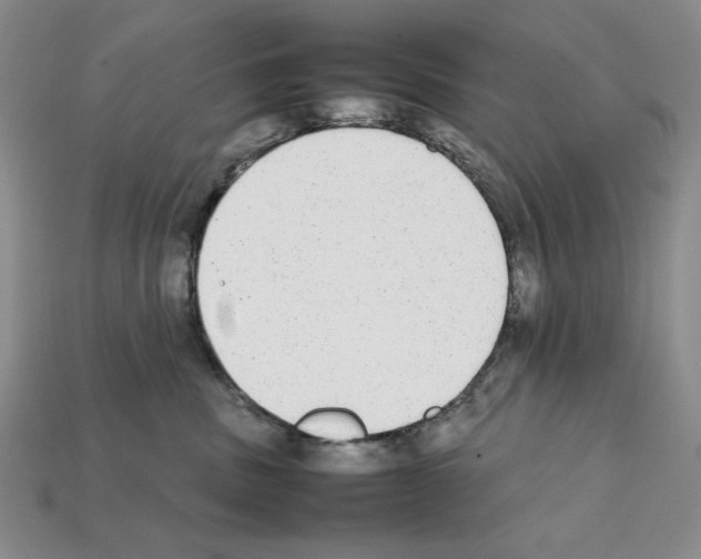 X0000112040379200909141122