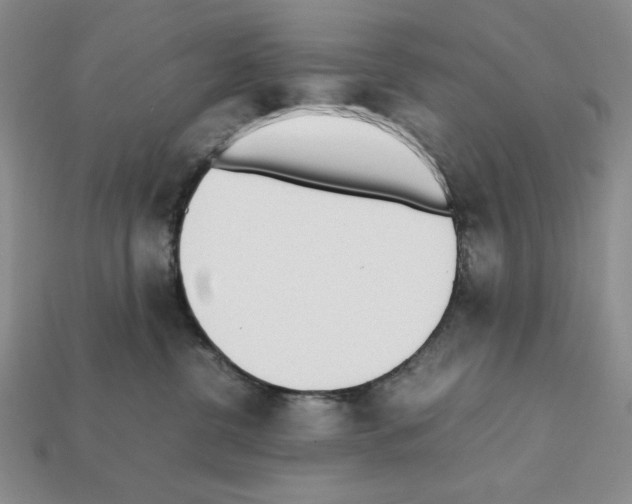 X0000112040380200909141122