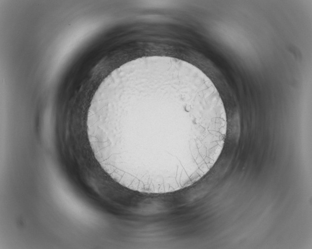 X0000112040381200909141122